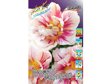 15,75���. ������� ������� ���������(�������� ���� �� 10 ��., ����������� ����� 5��.)���16.jpg