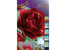 16,2���. ������� ������� ���(�������� ���� �� 10 ��., ����������� ����� 5��.).jpg