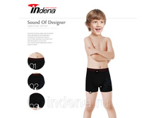 INDENA ������������ ������� ������ ���.65600-143 ���