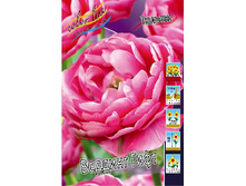 13,97���. ������� ������� ����(���������� ������ ������ ���������� �� 10 ��.).jpg