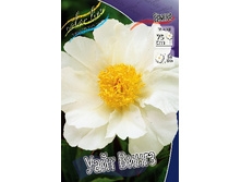 163,6���. ���� ���� �����(���������� ������ ������ ���������� �� 1 ��.).jpg