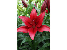 18,06���. ����� ��� ���(���������� ������ ������ ���������� �� 7 ��.)���16.jpg