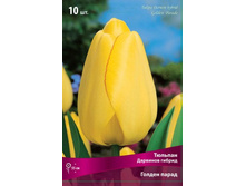 ������� ������ �����.jpg