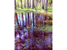 IMG 20170507 154146.jpg