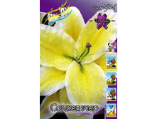 26,66���. ����� ���������(�������� ���� �� 5 ��., ����������� ����� 3��.).jpg