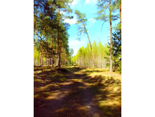 IMG 20170507 133214.jpg