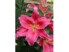 27,76���. ����� ���� �������(�������� ���� �� 5 ��., ����������� ����� 3��.).jpg