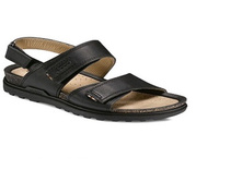 935 2499 ���� ���� 40�.jpg