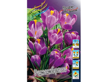 7,28���. ������ ����������(���������� ������ ������ ���������� �� 10 ��.).jpg