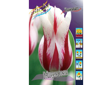 13,97���. ������� �������(���������� ������ ������ ���������� �� 10 ��.).jpg