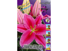 24,26���. ����� ���� ����(�������� ���� �� 7 ��., ����������� ����� 3��.).jpg