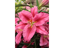 27,76���. ����� ����� ����(�������� ���� �� 5 ��., ����������� ����� 3��.).jpg