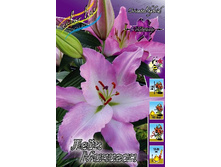 21,09���. ����� ���� �������(�������� ���� �� 7 ��., ����������� ����� 3��.).jpg