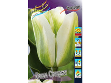 17,83���. ������� ���� ������(�������� ���� �� 10 ��., ����������� ����� 5��.).jpg