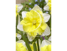 13,97���. ������� �������(���������� ������ ������ ���������� �� 10 ��.)���17.jpg