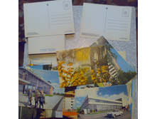 ���� (1).jpg