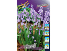 8,92���. ������������ �����(���������� ������ ������ ���������� �� 10 ��.)���16.jpg