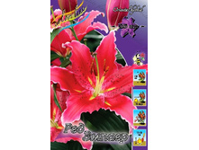 25,84���. ����� ��� ������(�������� ���� �� 7 ��., ����������� ����� 3��.).jpg