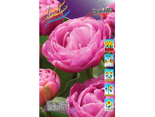 15,46���. ������� �����(�������� ���� �� 10 ��., ����������� ����� 5��.)���16.jpg