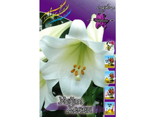 21,09���. ����� ���� �����(�������� ���� �� 7 ��., ����������� ����� 3��.).jpg