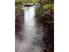 IMG 20170508 152437.jpg