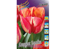 31,31���. ������� ������ �����(�������� ���� �� 7 ��., ����������� ����� 3��.).jpg