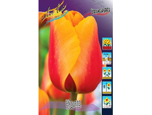 13,97���. ������� ���(���������� ������ ������ ���������� �� 10 ��.)���16.jpg