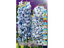 33,14���. ������� ���-�-���� 14-15 (�������� ���� �� 5 ��., ����������� ����� 3��.).jpg