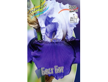 81,8���. ���� ���������� ���� ���(�������� ���� �� 2 ��., ����������� ����� 1��.).jpg