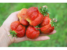 ��������� ������.jpg