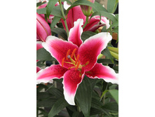 26,96���. ����� ���� �������(�������� ���� �� 7 ��., ����������� ����� 3��.).jpg