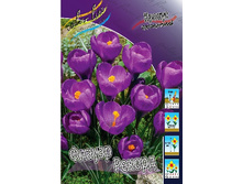 6,54���. ������ ������ ������(���������� ������ ������ ���������� �� 10 ��.).jpg