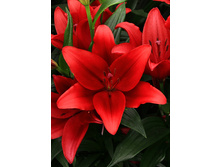 17,9���. ����� ��������(���������� ������ ������ ���������� �� 7 ��.)���17.jpg