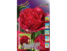 34,77���. ������� �������(�������� ���� �� 10 ��., ����������� ����� 5��.).jpg