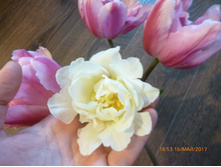 ���� ������