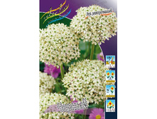 12,48���. ��� �����. ������(���������� ������ ������ ���������� �� 10 ��.).jpg