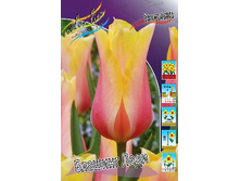 12,48���. ������� ������� ����(���������� ������ ������ ���������� �� 10 ��.).jpg