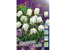 14,71���. ����������� ��������� �����(���������� ������ ������ ���������� �� 10 ��.).jpg