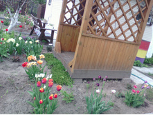 IMG 20170528 144644.jpg