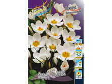 5,35���. ������ ��� ���� (����.)(���������� ������ ������ ���������� �� 10 ��.).jpg