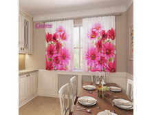 07566. ��������� "��������� ���������"