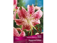 ����� ���������� ������.jpg