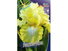 81,8���. ���� ���������� ����� ���(�������� ���� �� 2 ��., ����������� ����� 1��.).jpg