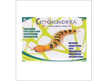 761 ���. - ����������� �/�, (�� ���)