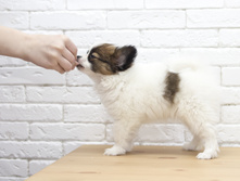 ������ 2 ���.3