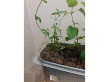 20170509 151257.jpg