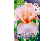 81,8���. ���� ���������� ������ �����(�������� ���� �� 2 ��., ����������� ����� 1��.).jpg