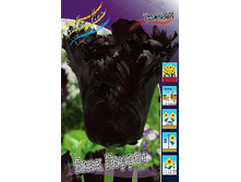 14,71���. ������� ���� ������(���������� ������ ������ ���������� �� 10 ��.).jpg