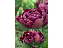 20,21���. ������� ������ ������(�������� ���� �� 10 ��., ����������� ����� 5��.)���17.jpg