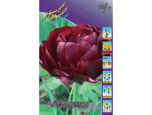 13,67���. ������� ��������(���������� ������ ������ ���������� �� 10 ��.).jpg